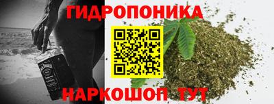 ECSTASY Кимры