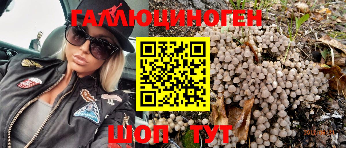 Галлюциногенные грибы MAGIC MUSHROOMS Вышний Волочёк